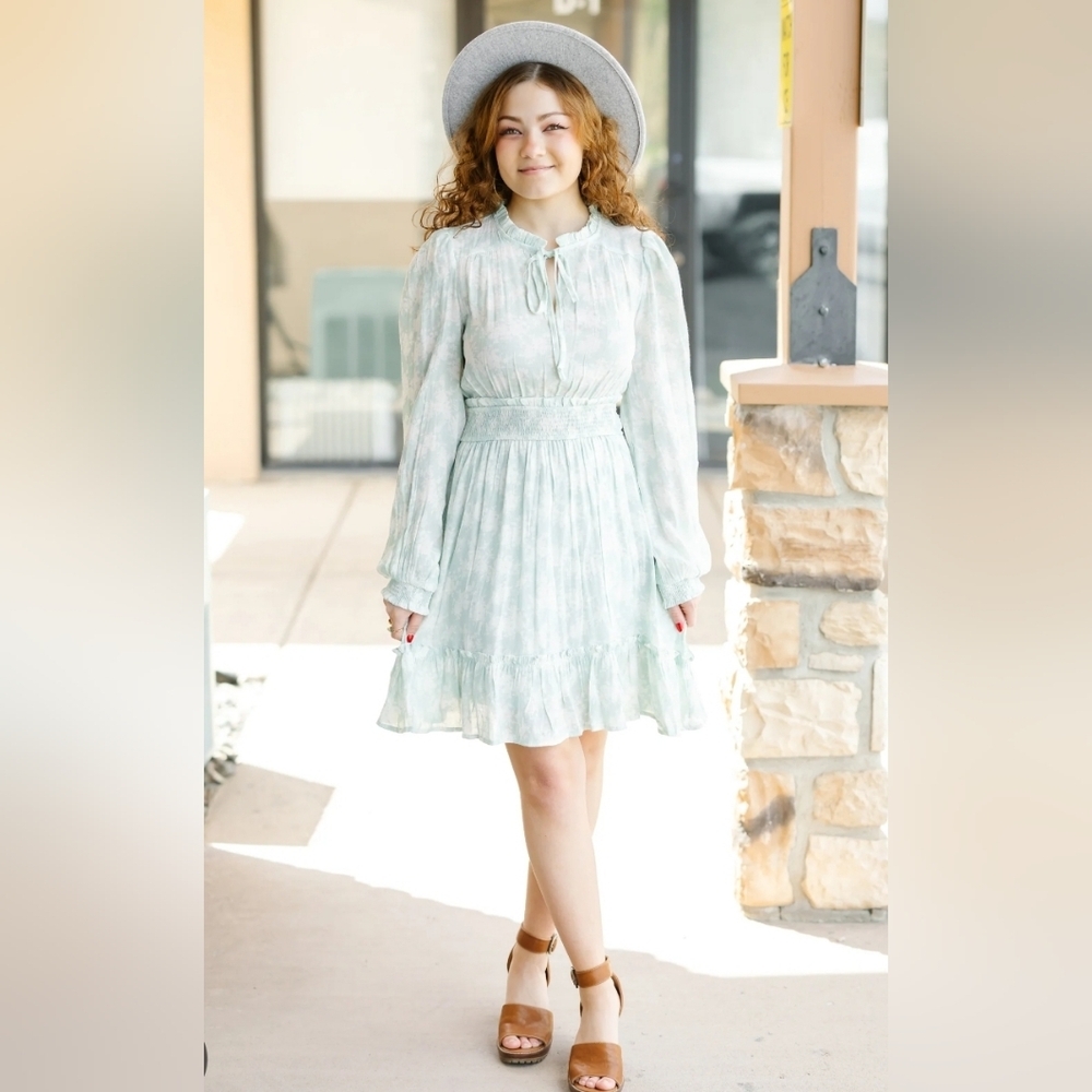 Blu Pepper Empire Waist Long Sleeve Mini Dress S